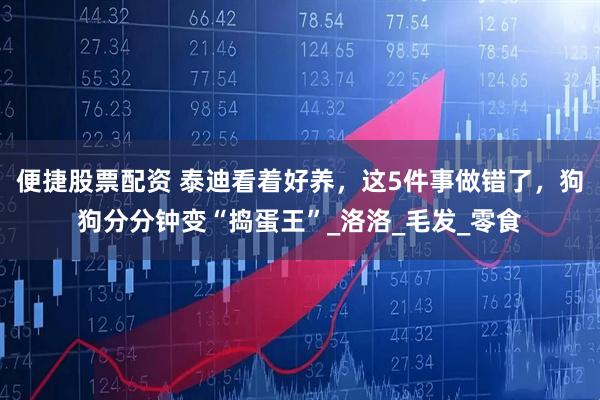 便捷股票配资 泰迪看着好养，这5件事做错了，狗狗分分钟变“捣蛋王”_洛洛_毛发_零食